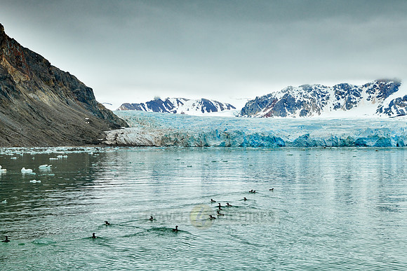 glacier Kollerbreen