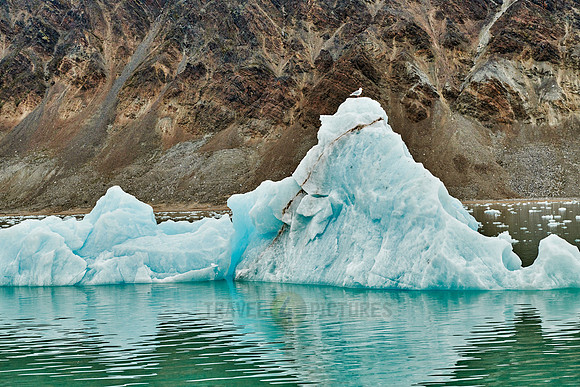 glacier Kollerbreen