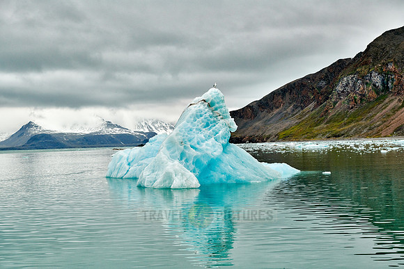 glacier Kollerbreen
