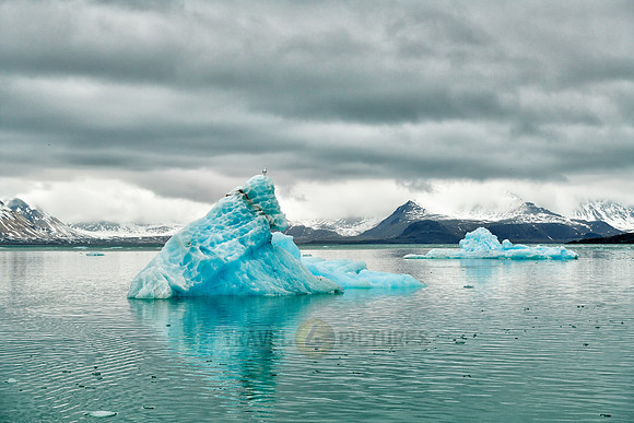 glacier Kollerbreen