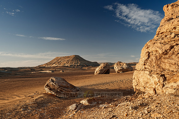 desert landscape