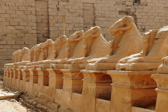 Corridor of ram-headed sphinxes at entrance