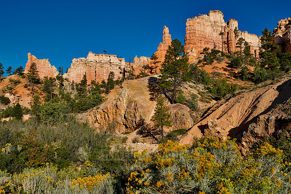 Mossey cave trailhead