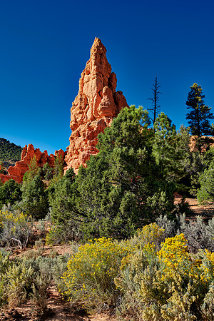 Red Canyon