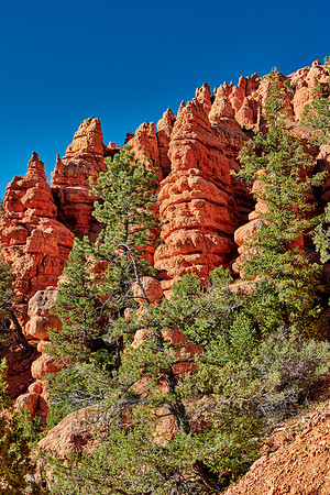 Red Canyon