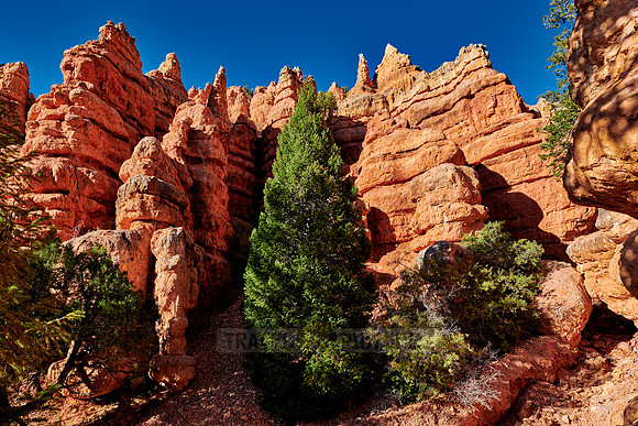 Red Canyon