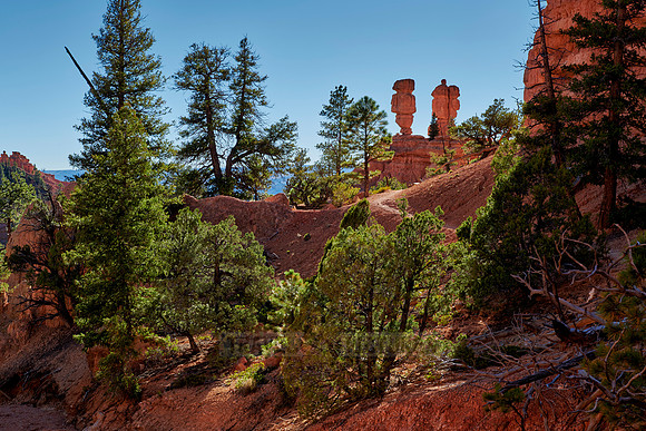 Red Canyon
