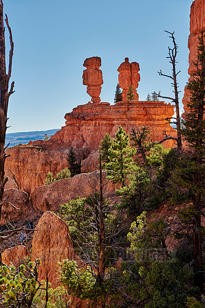 Red Canyon