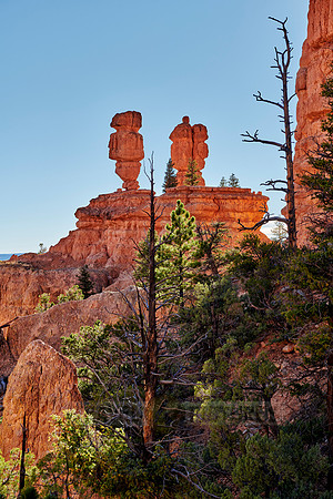 Red Canyon
