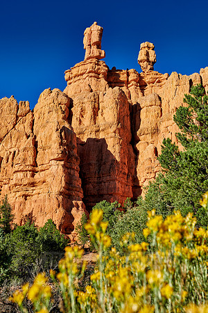 Red Canyon