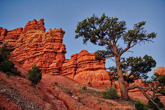 Red Canyon