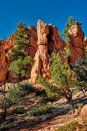 Red Canyon
