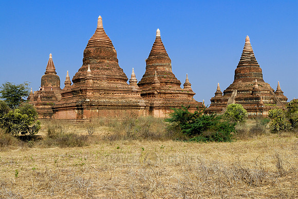 pagodas in the plain
