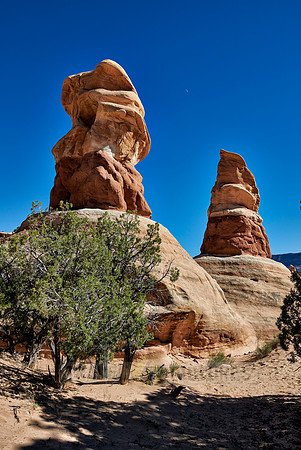 Devils Garden