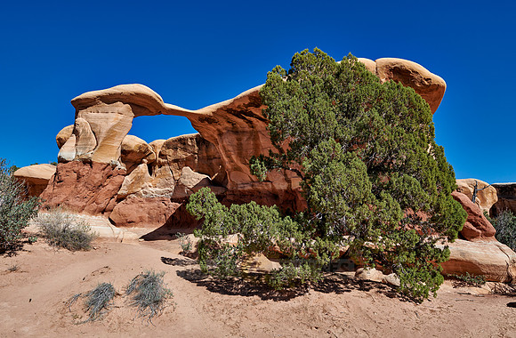 Metate Arch in Devils Garden