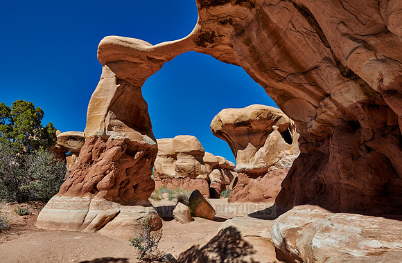Metate Arch in Devils Garden