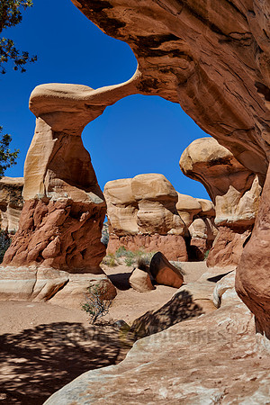 Metate Arch in Devils Garden