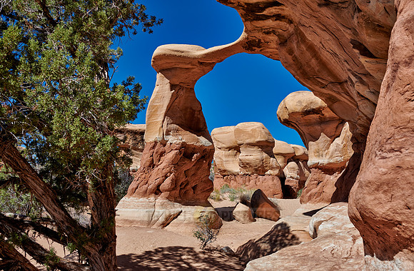 Metate Arch in Devils Garden