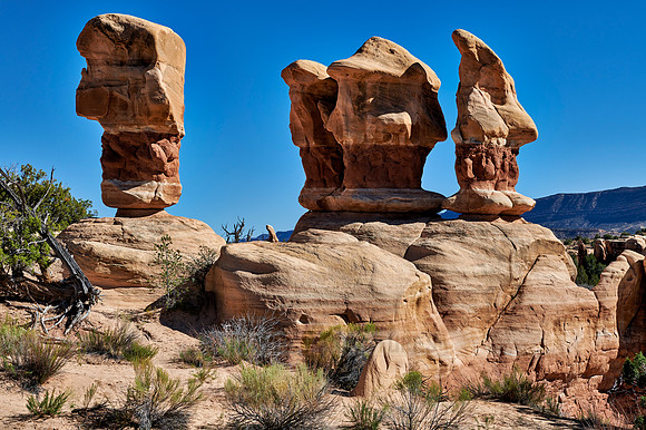 Devils Garden
