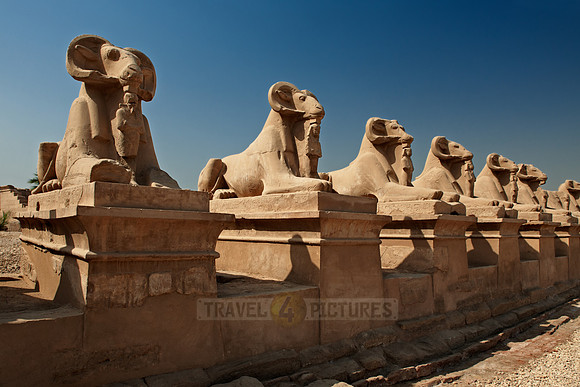 Corridor of ram-headed sphinxes at entrance