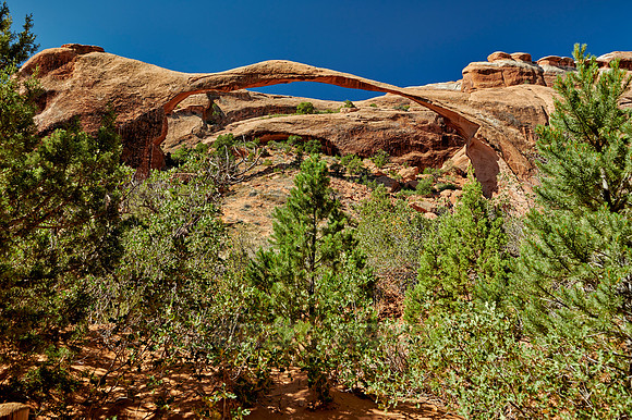Landscape Arch in Arches National Park