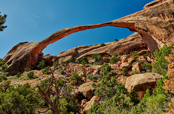 Landscape Arch in Arches National Park