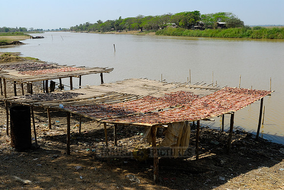 dried fish at fishing village