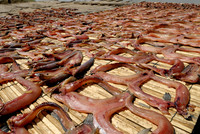 dried fish at fishing village