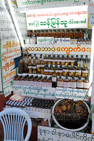 stalls with animal pieces used for chinese medicine