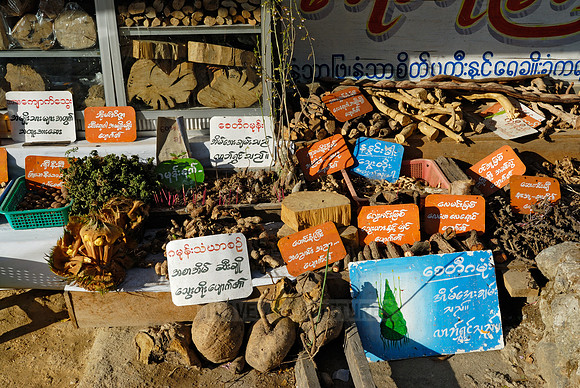 stalls with animal pieces used for chinese medicine
