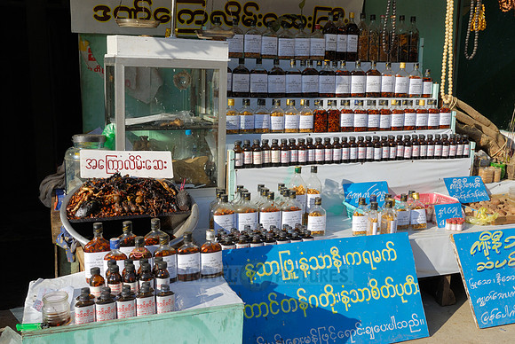 stalls with animal pieces used for chinese medicine