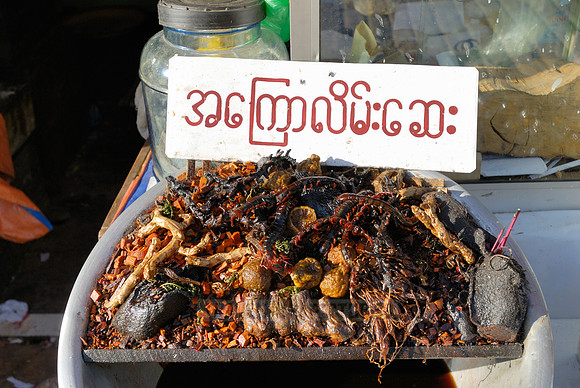 stalls with animal pieces used for chinese medicine