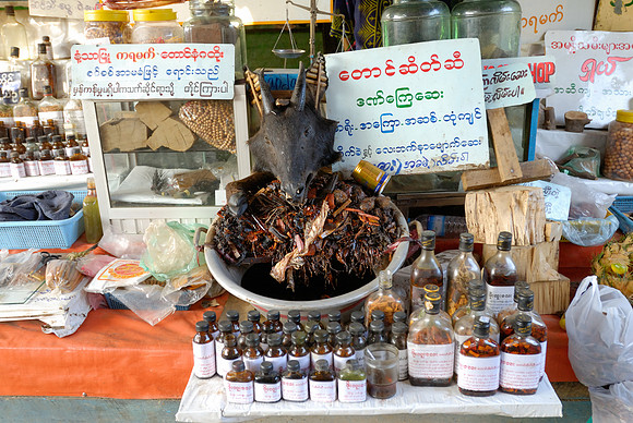 stalls with animal pieces used for chinese medicine