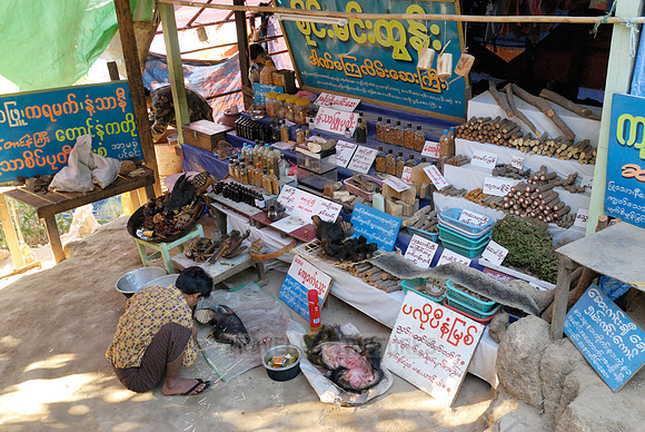 stalls with animal pieces used for chinese medicine