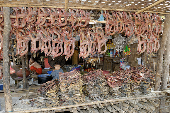 stall with dried fish at fishing village
