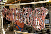 stall with dried fish at fishing village