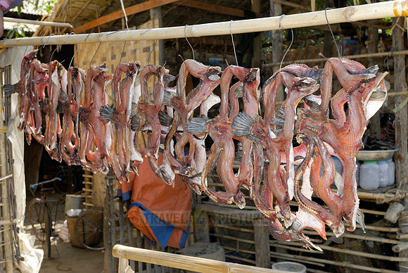 stall with dried fish at fishing village