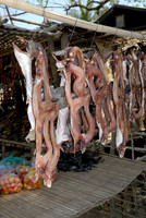 dried fish at fishing village
