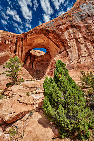 Bowtie Arch