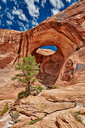 Bowtie Arch