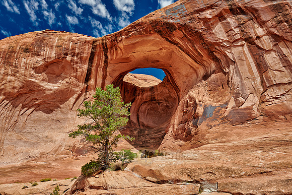 Bowtie Arch