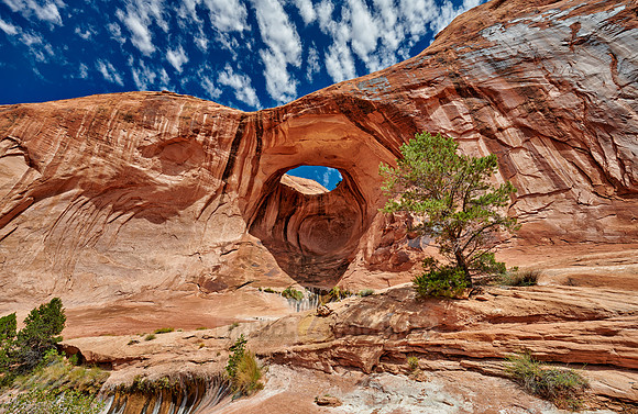 Bowtie Arch