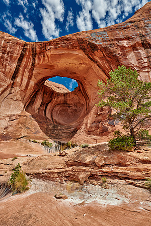 Bowtie Arch