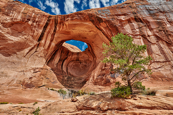 Bowtie Arch