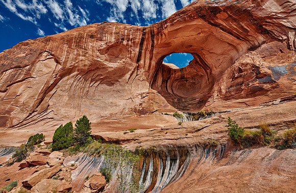Bowtie Arch