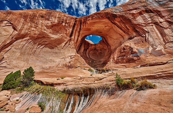 Bowtie Arch
