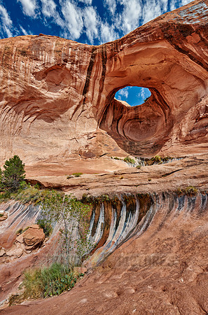 Bowtie Arch