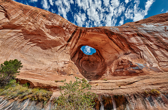 Bowtie Arch