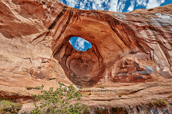 Bowtie Arch