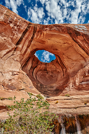 Bowtie Arch